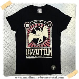 Camiseta_Led-Zeppelin_madison-1975
